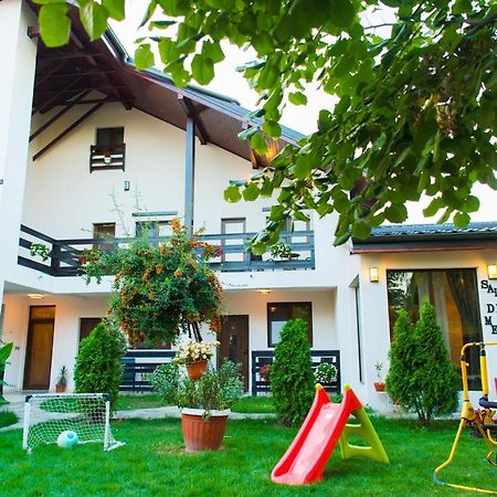 Pensiunea Puiu Afumati Exterior photo