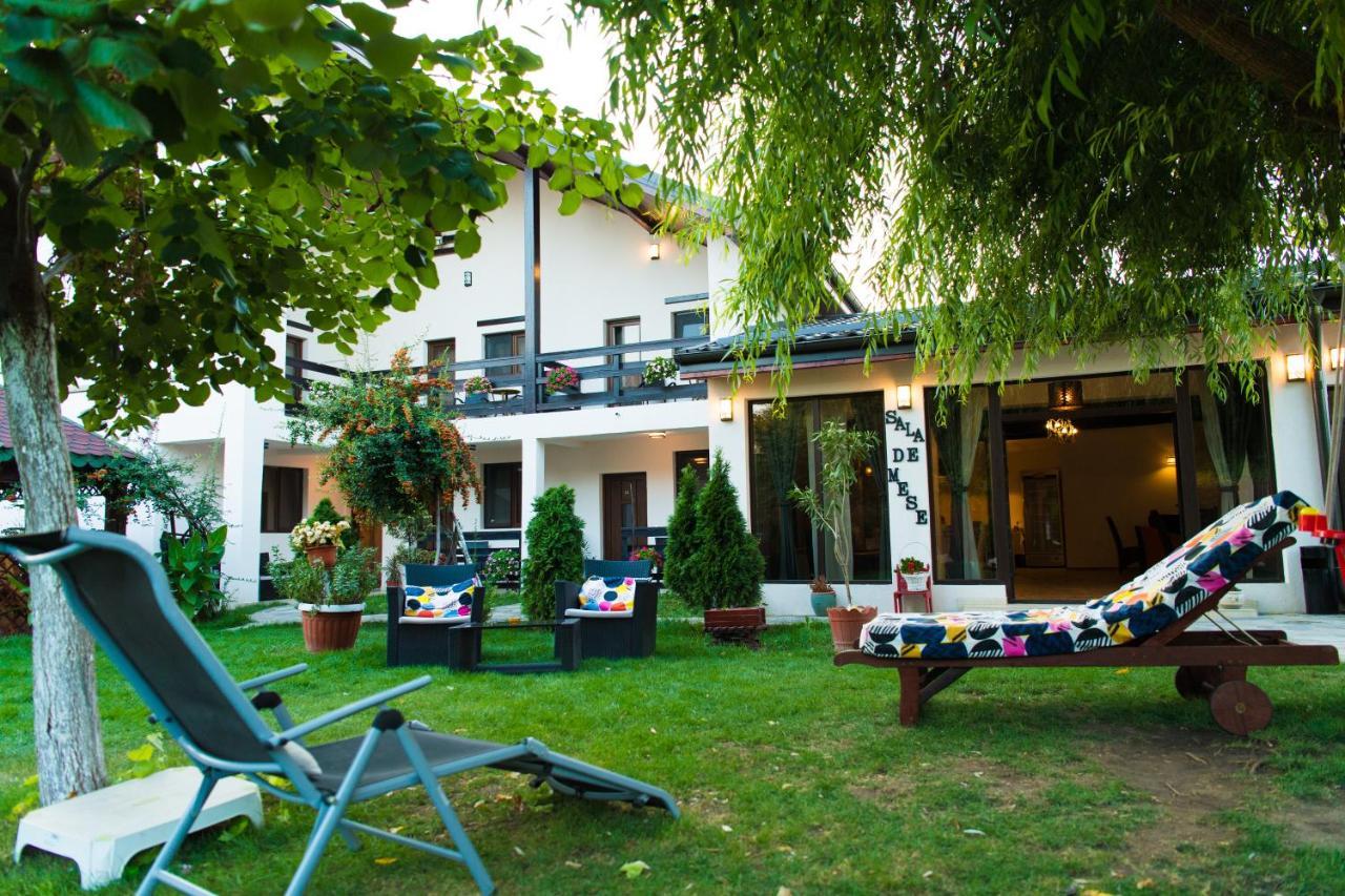 Pensiunea Puiu Afumati Exterior photo