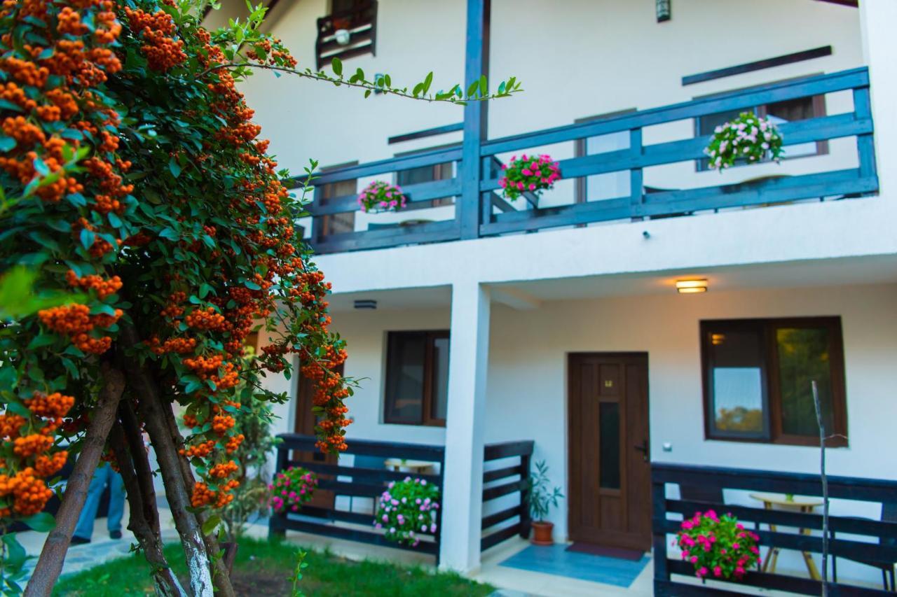 Pensiunea Puiu Afumati Exterior photo