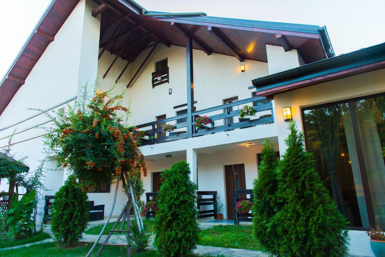 Pensiunea Puiu Afumati Exterior photo